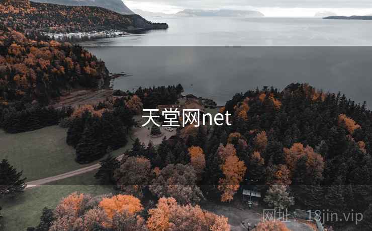 天堂网net