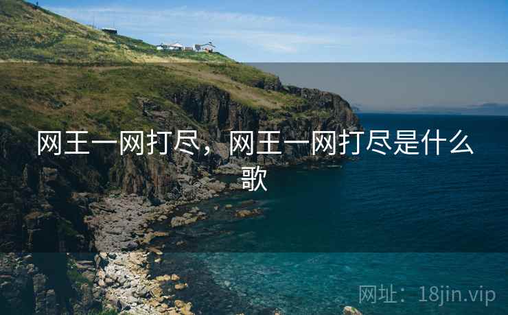 网王一网打尽，网王一网打尽是什么歌