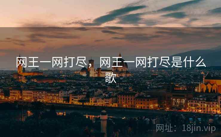 网王一网打尽，网王一网打尽是什么歌