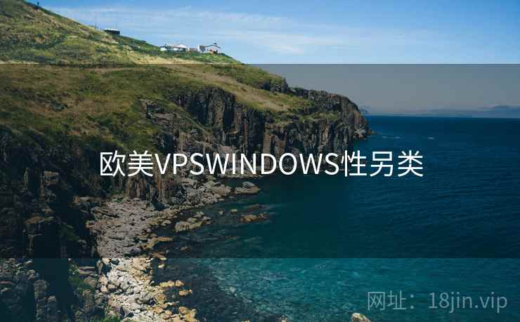 欧美VPSWINDOWS性另类